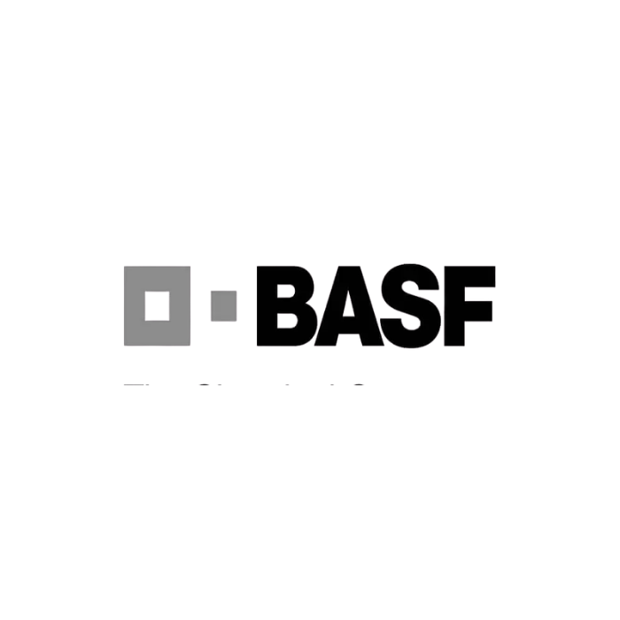 BASF SE